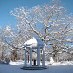 snow-covered old well and trees