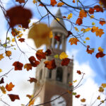 bell tower behind autumn colored leaves