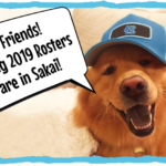 happy golden dog in blue Carolina hat says hi friends! Spring 2019 rosters are in Sakai!