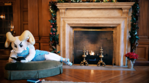Carolina mascot Rameses reading a book by the fireplace