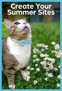 cat wearing carolina bow tie looks up at text create your summer sites