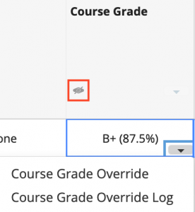 Eye icon indicates Course Grade is hidden from students