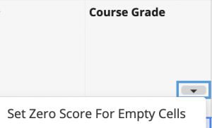 set score to zero for empty cells in gradebook