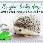cute hedgehog says it's your lucky day because summer 2022 rosters are in Sakai